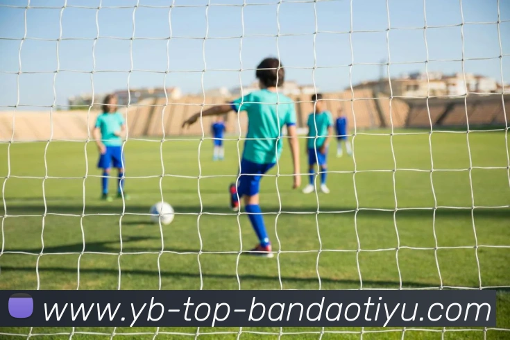 半岛体育发展历程